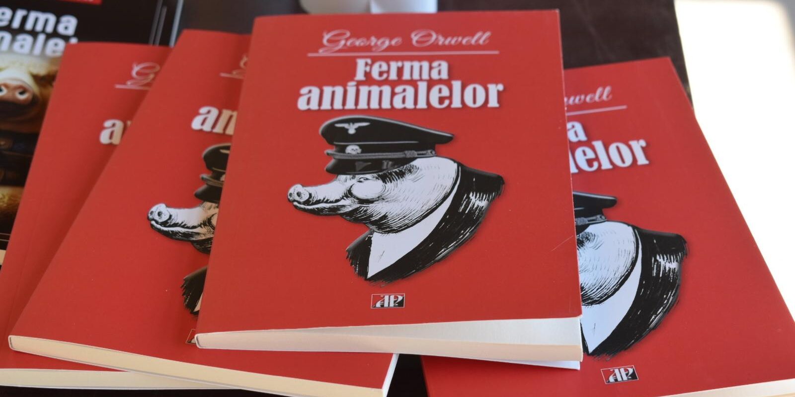 WhatsApp Image 2026-04-06 at 19.39.56