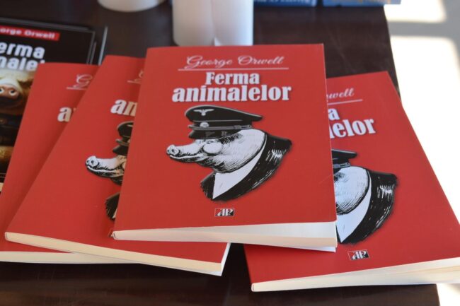 WhatsApp Image 2026-04-06 at 19.39.56